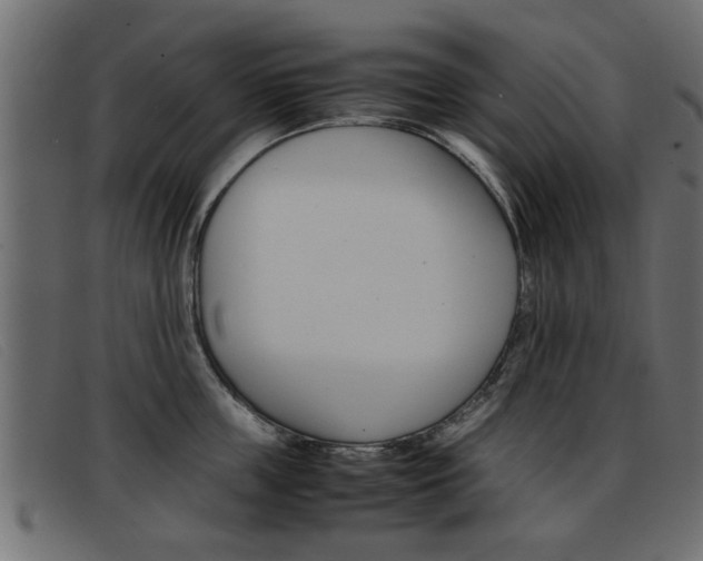 X0000093390859200710111346