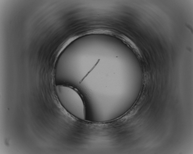 X0000093390860200710111346