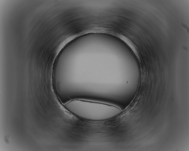 X0000093390861200710111346