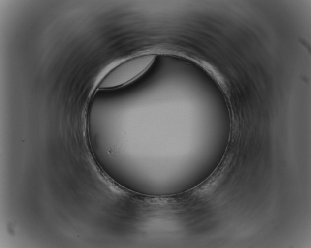 X0000093390862200710111346