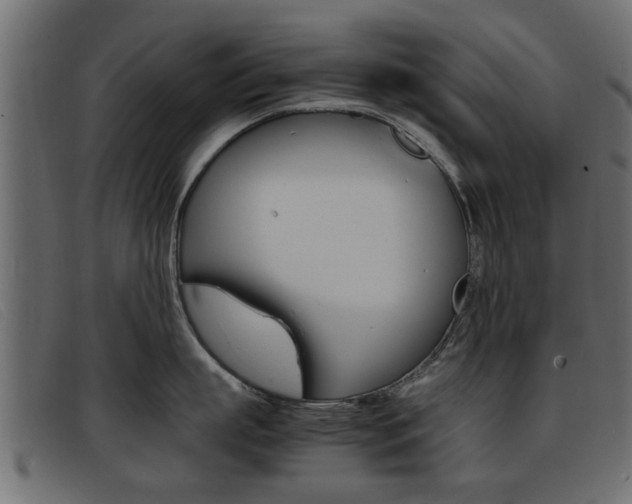 X0000093390863200710111346