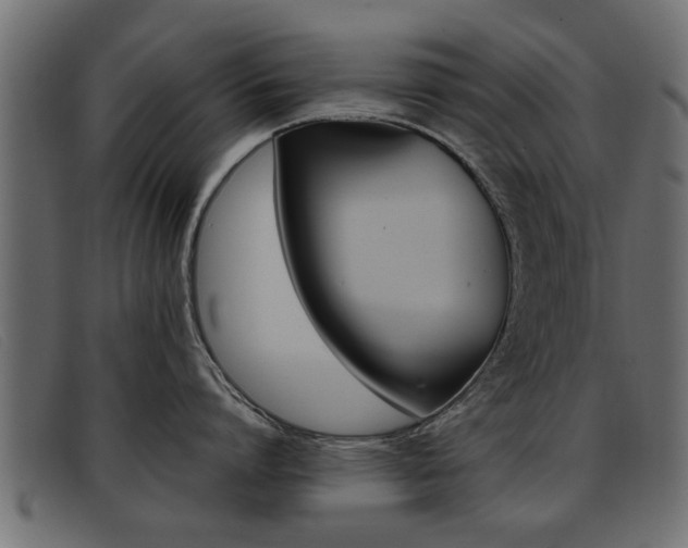 X0000093390864200710111346