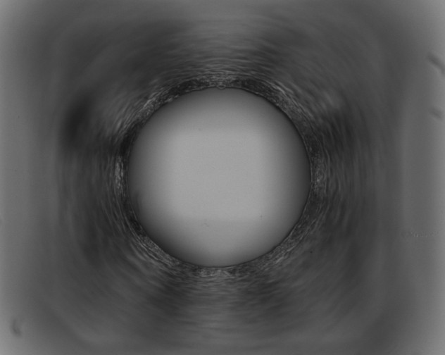 X0000093390866200710111346