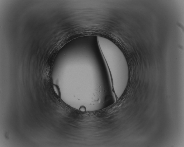X0000093390867200710111346