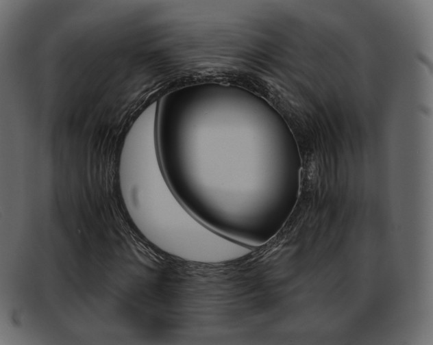 X0000093390868200710111346