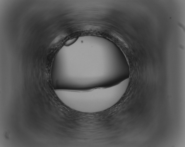 X0000093390869200710111346