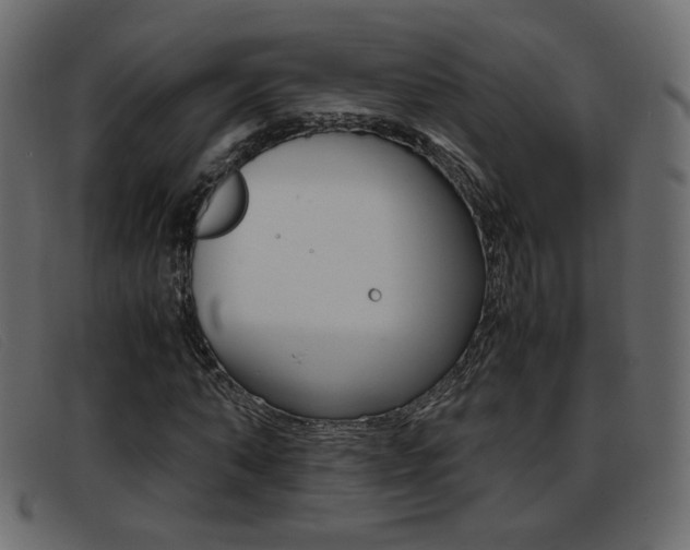 X0000093390870200710111346