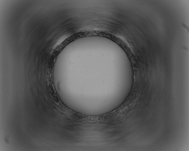 X0000093390871200710111346