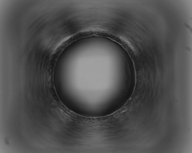 X0000093390872200710111346
