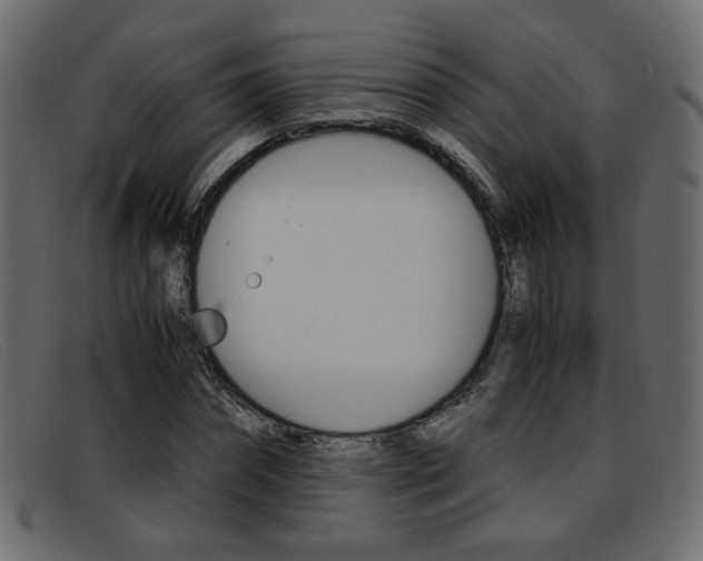 X0000093390874200710111346