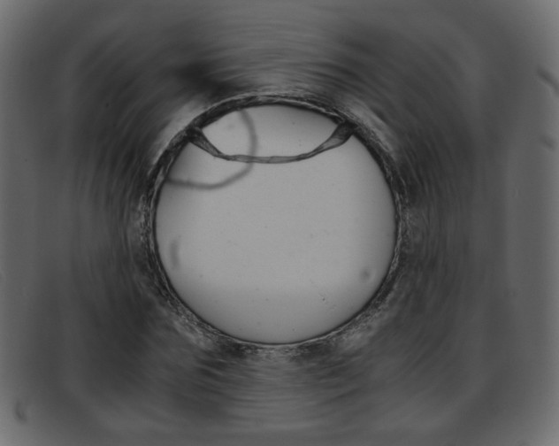 X0000093390875200710111346