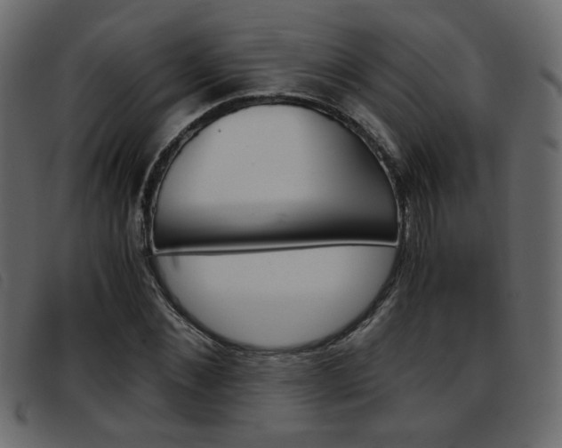 X0000093390876200710111346