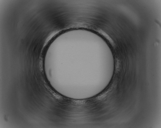 X0000093390878200710111346
