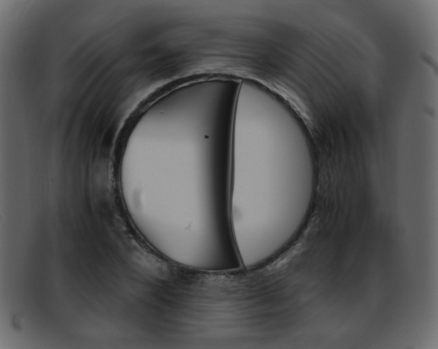 X0000093390880200710111346