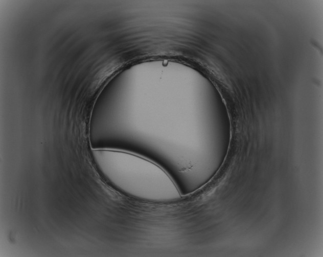 X0000093390881200710111346