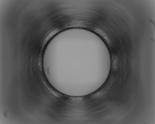 X0000093390882200710111346