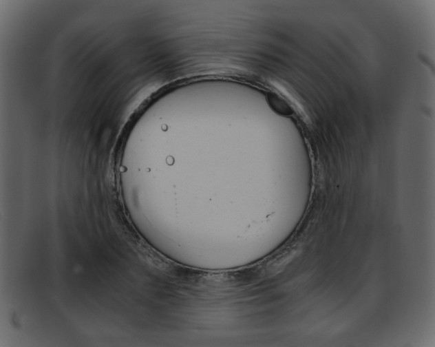X0000093390883200710111346