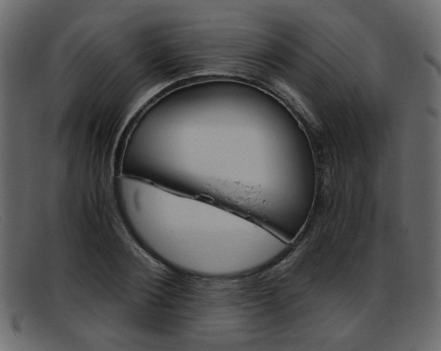 X0000093390884200710111346
