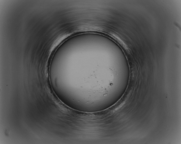 X0000093390885200710111346