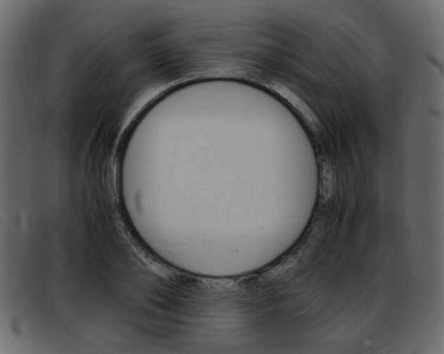 X0000093390886200710111346