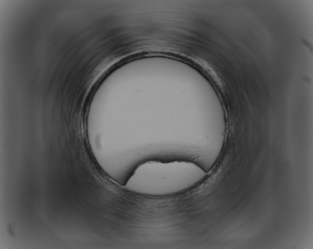 X0000093390887200710111346