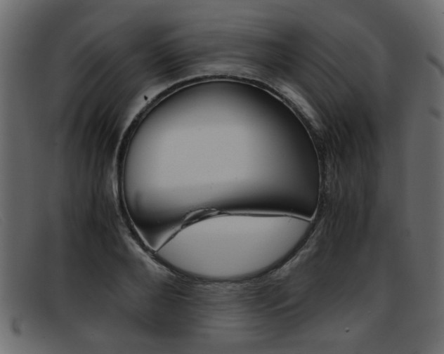 X0000093390888200710111346