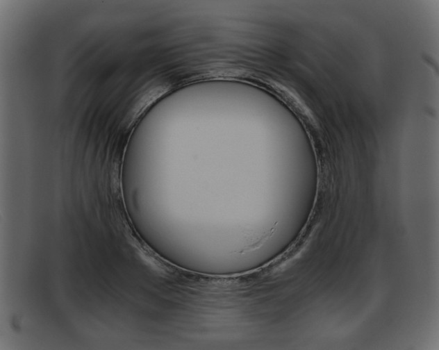 X0000093390889200710111346