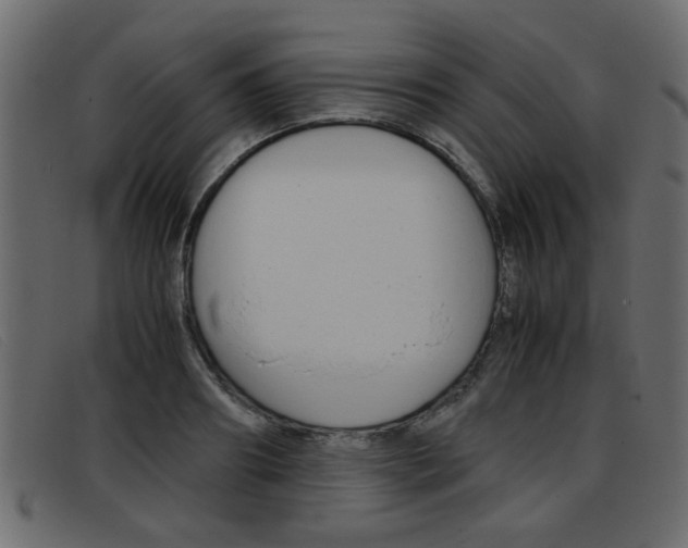 X0000093390890200710111346
