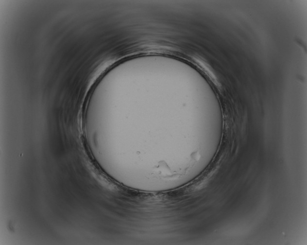 X0000093390891200710111346