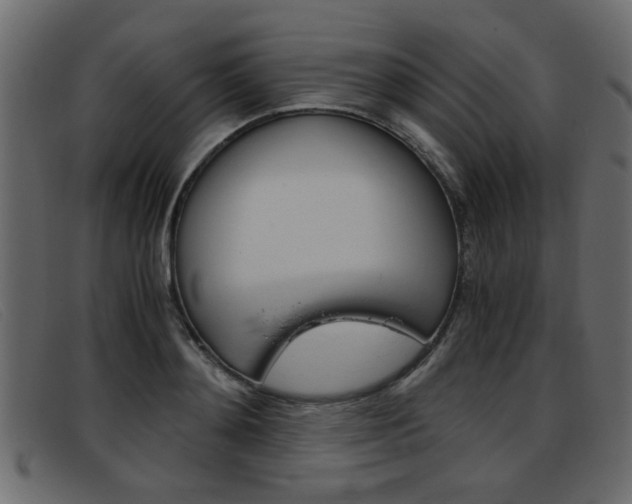 X0000093390892200710111346