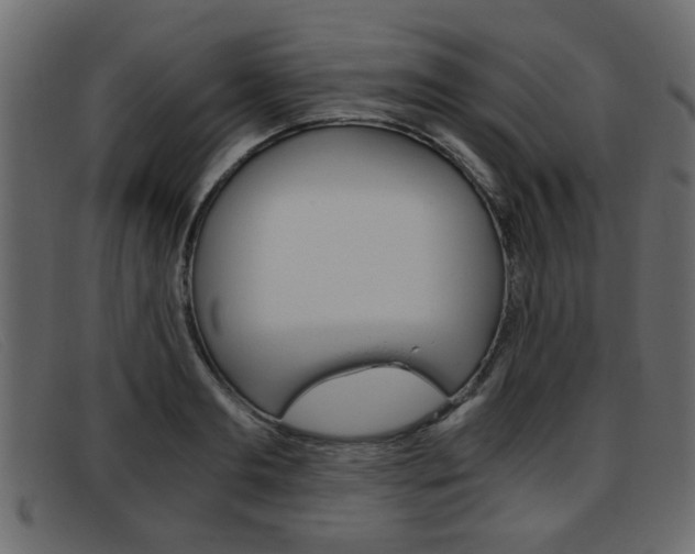 X0000093390893200710111346