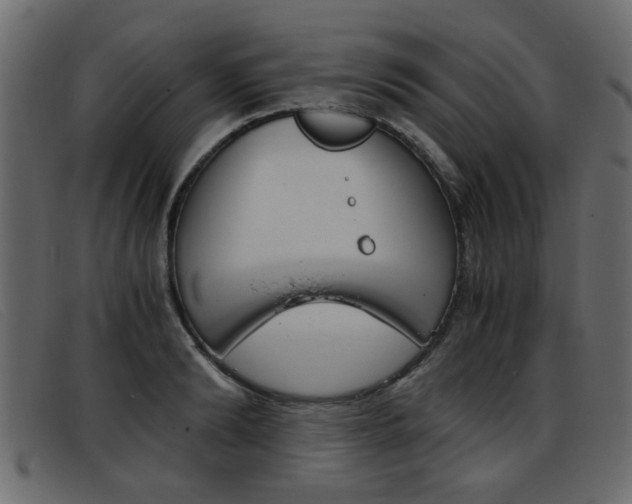 X0000093390894200710111345
