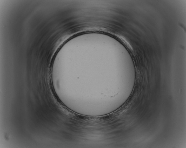 X0000093390895200710111345