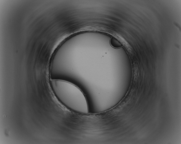 X0000093390896200710111345