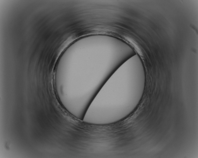 X0000093390899200710111345