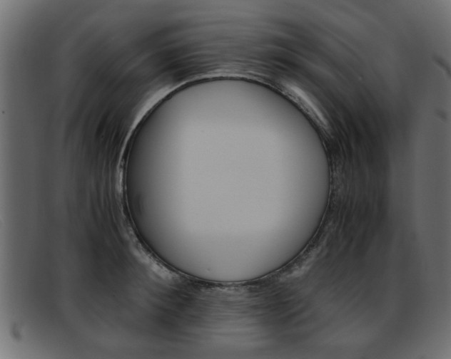 X0000093390900200710111345