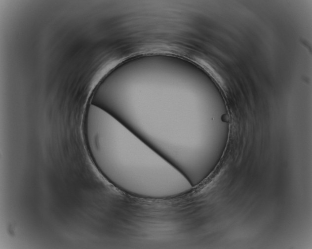 X0000093390901200710111345