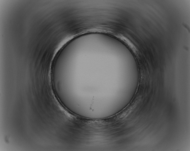X0000093390902200710111345