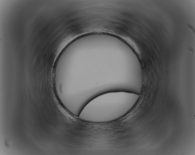 X0000093390903200710111345
