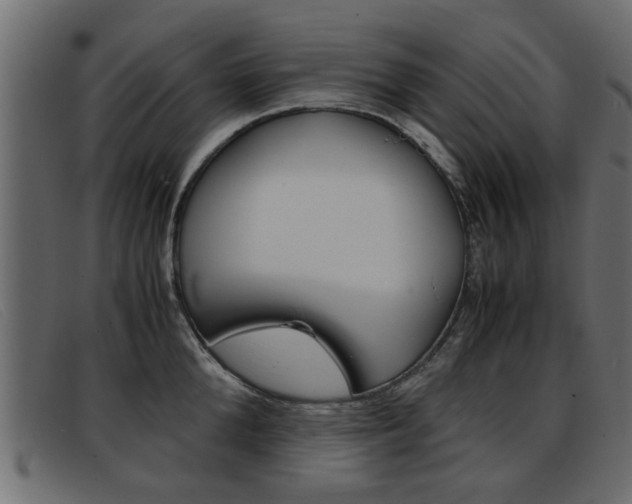 X0000093390904200710111345