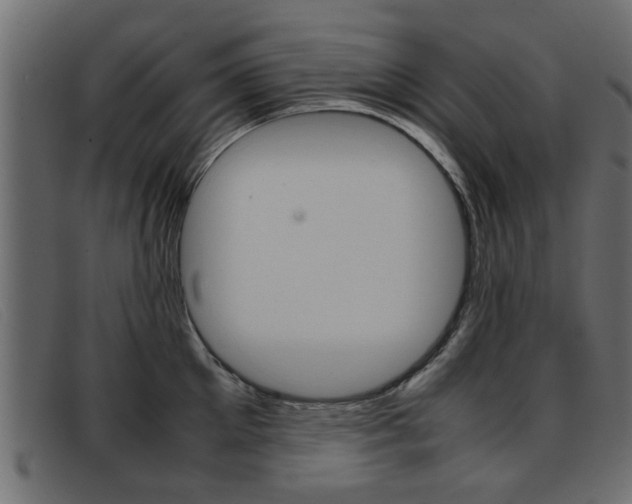 X0000093390905200710111345