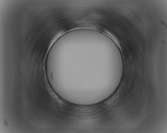 X0000093390907200710111345