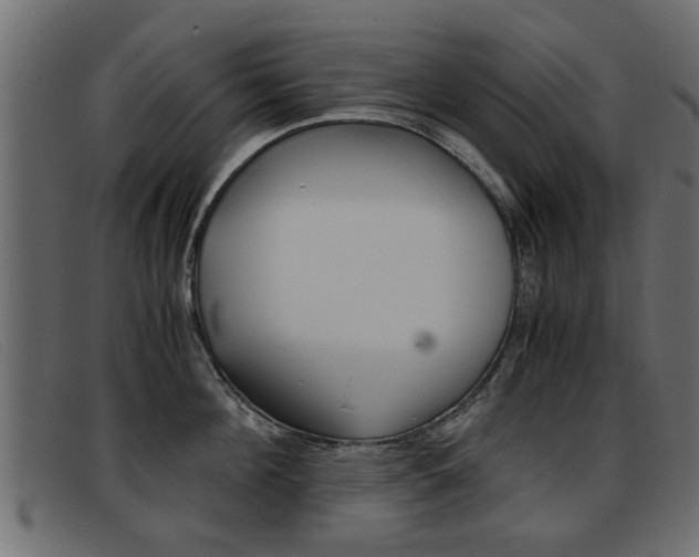 X0000093390908200710111345