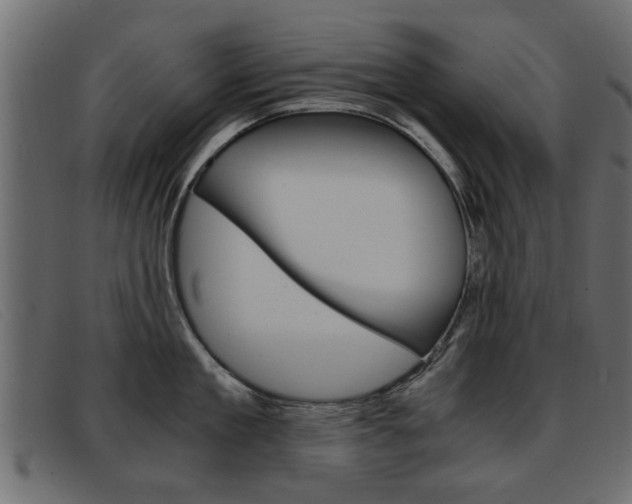X0000093390909200710111345