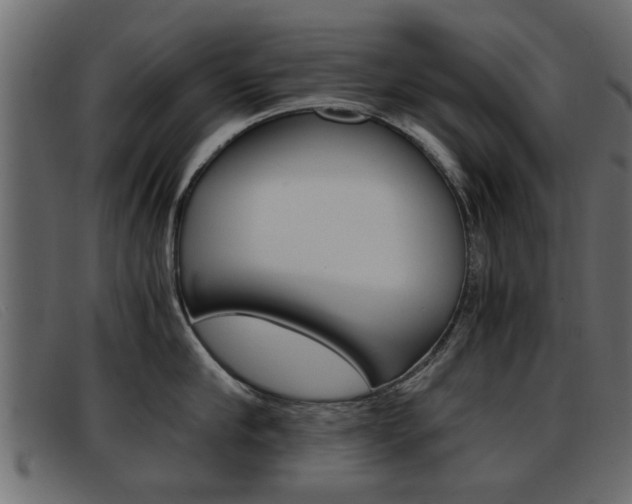 X0000093390910200710111345