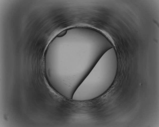 X0000093390911200710111345
