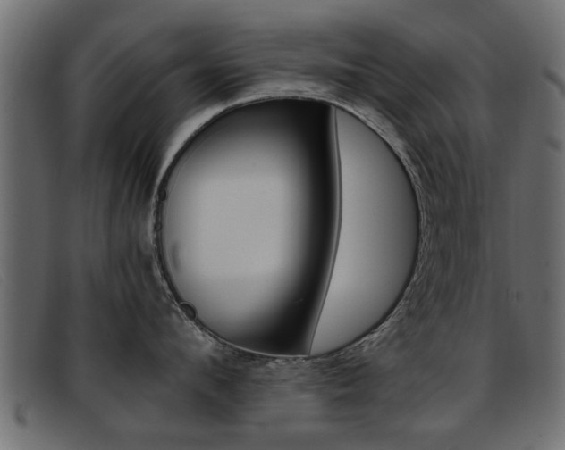 X0000093390912200710111345