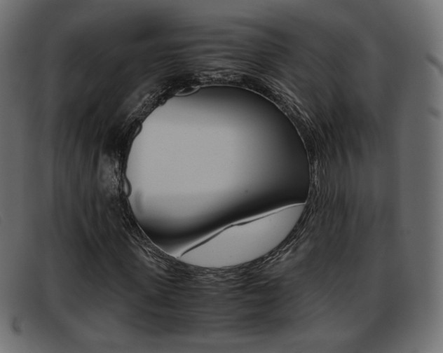 X0000093390915200710111345