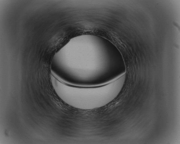 X0000093390916200710111345