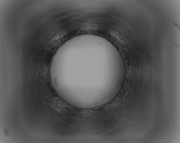 X0000093390917200710111345